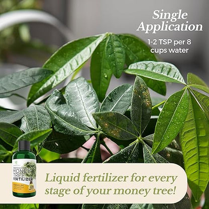 Professional Liquid Money Tree Fertilizer | 3-1-2 Concentrate for Plants and Flowers | Multi-Purpose Blend & Gardening Supplies | 8 oz Bottle