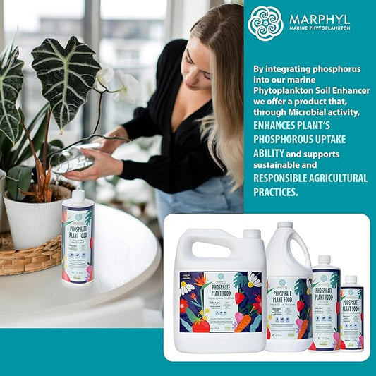 MARPHYL Organic Liquid Phosphate Soil Enhancer. Phosphorus Fertilizer for Garden, Flowers, Vegetables, Succulents, Bamboo, Hydroponics 1.05 gal