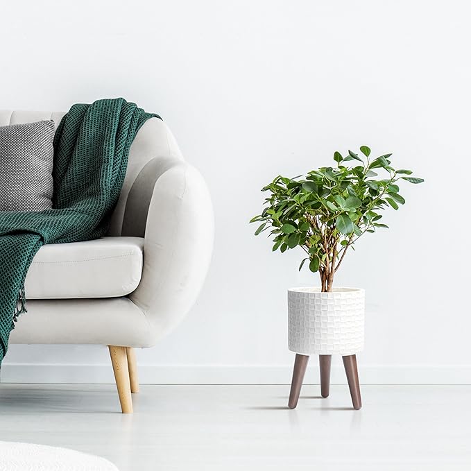 D'vine Dev 8 Inch Modern Geometric Tile Patterned Sleek Planter Pot with Stand, Indoor Outdoor Decorative Plant Holder, Matte White, 88-Z-A-1