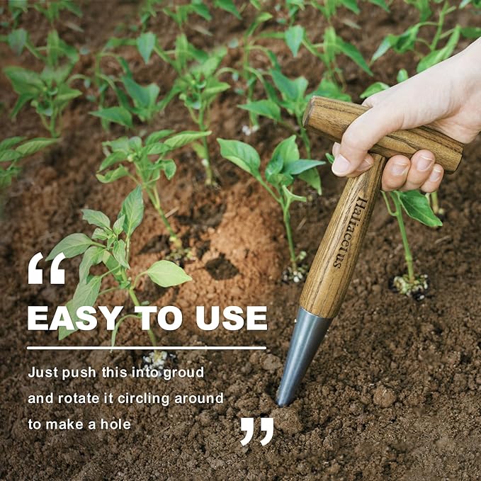 Haliaeetus Dibber Garden Tool, Stamped Stainless Steel Tip Seed Dibber, Smooth Splinter-Free T-Shape Wood Handle Dibbler with Comfortable Grip, 11'' Dibber for Planting Seed and Transplanting Seedling