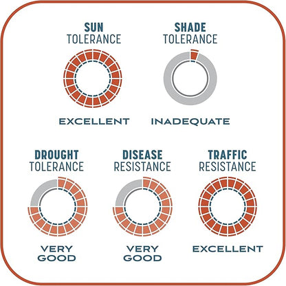 Pennington Smart Patch Bermudagrass Mix 10 lb