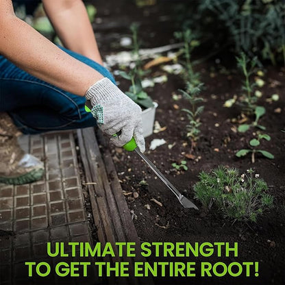 Garden Guru Dandelion Weeder Tool with Ergonomic Handle - Stainless Steel Weed Puller for Planting, Weeding, Flower and Vegetable Care in Lawn Garden Yard | Rust Resistant (2 Pack)