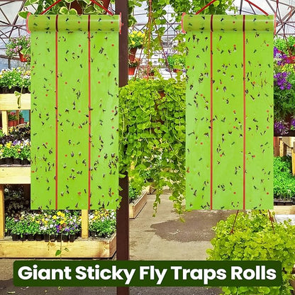 Qualirey Giant Sticky Fly Traps, Fly Strips for Indoor Outdoor Hanging Flying Tapes Non Toxic Ribbon Fruit Gnat Killer for Mosquito Plants House Horse Stable(30 ft,Fluorescent Green,2 Pcs)