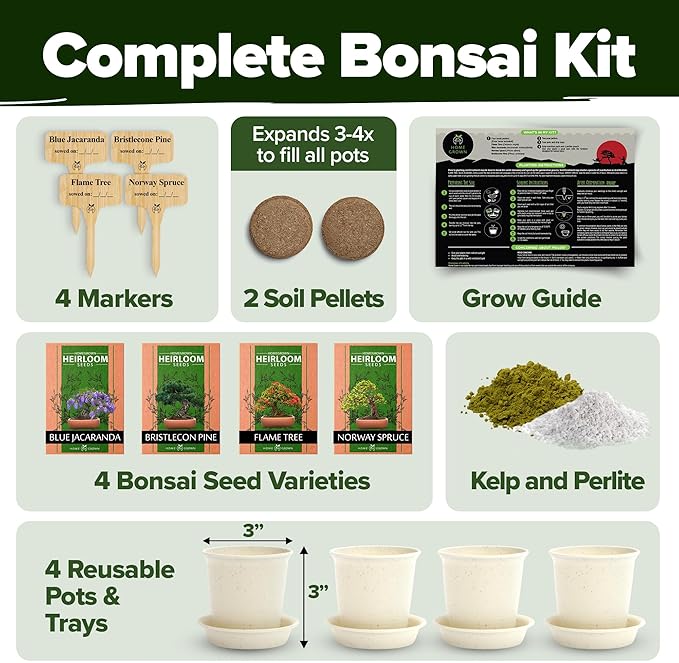 Bonsai Tree Kit Gifts for Men & Women - Grow 4 Bonsai Trees - Unique Gardening Crafts for Adults, DIY Hobbies for Plant Lovers & Gardeners - Unusual Christmas Gift Ideas for Mom & Dad