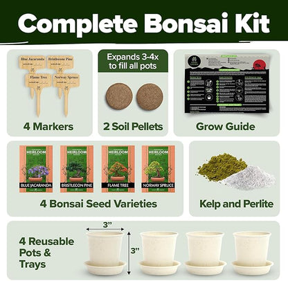 Bonsai Tree Kit Gifts for Men & Women - Grow 4 Bonsai Trees - Unique Gardening Crafts for Adults, DIY Hobbies for Plant Lovers & Gardeners - Unusual Christmas Gift Ideas for Mom & Dad
