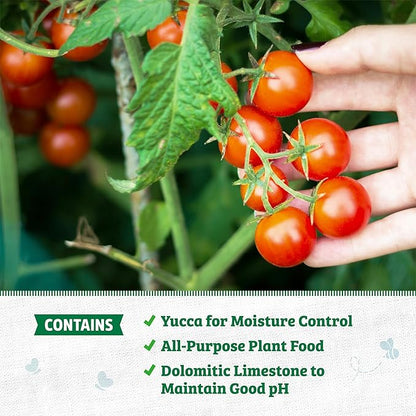 Back to The Roots 100% Organic Potting Mix (Value 12 Quart) | Premium Blend | Made in The USA