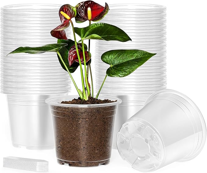 60 Pack 6 Inch Clear Nursery Pots with Drainage Holes, Transparent Plastic Plant Pots, Reinforced Seed Starter Garden Flower Pots, Comes with 50pcs Plant Labels