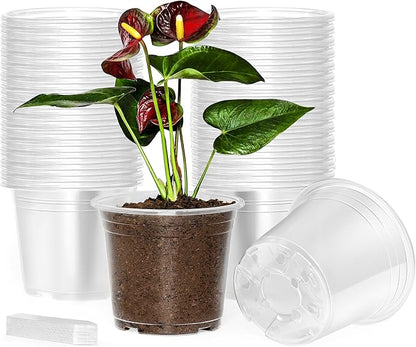 60 Pack 6 Inch Clear Nursery Pots with Drainage Holes, Transparent Plastic Plant Pots, Reinforced Seed Starter Garden Flower Pots, Comes with 50pcs Plant Labels