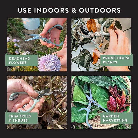 Modern Sprout Hand Pruners & Shears Set - Lightweight Gardening Tools W/Easy Lock - Sharp Carbon Steel Blades -Rust Resistant Scissors for Herbs, Flowers - Reusable Holster - Lavender