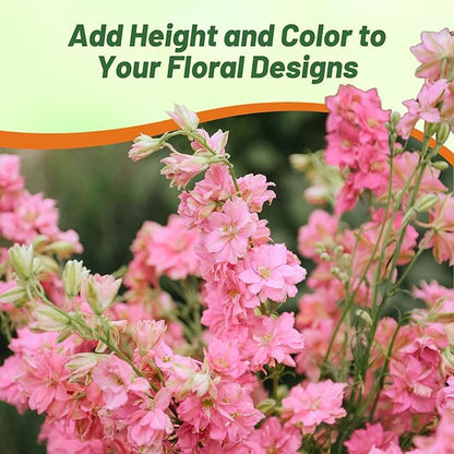 Outsidepride Delphinium Rose Larkspur Seeds for Planting Outdoors - 1000 Pcs Annual, Self-Seeding, Heat & Drought Tolerant Wildflower Seeds, Colorful Blooms for Flower Arrangement & Pollinator Garden