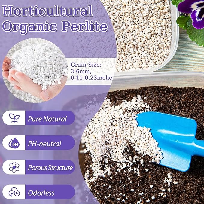 Riare 10 Quarts Organic Perlite for Plants - Horticultural Perlite Soil Amendment for Plants Potting Mix, Natural Chunky Perlite Soil Additive Conditioner Improve Root Growth, Drainage and Ventilation