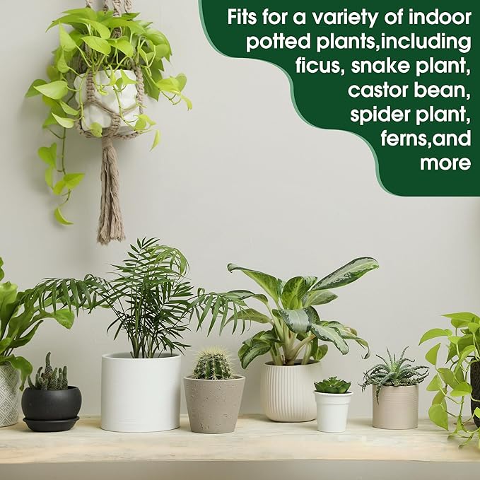 Enhon Fertilizer Spikes, 54 Plant Growth Food Spikes for Indoor & Outdoor, Growth Plant Food Sticks for Castor Bean, Spider Plant, Pothos, Ferns (3 Pack)