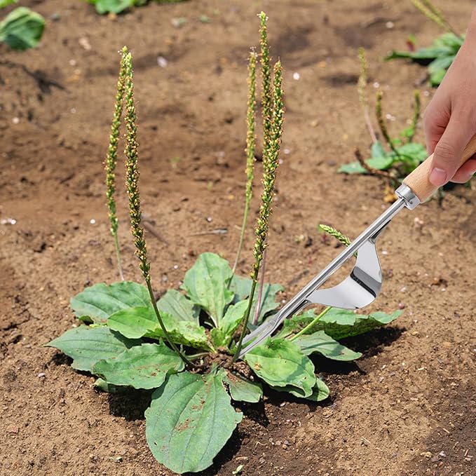 Gardening Hand Weeder Tools, 6 Teeth Uprooting Weeding Tool Multifunctional Manual Hand Weeder for Lawn Garden, Crack Weeder Crevice Weeding Tool, 3 PCS