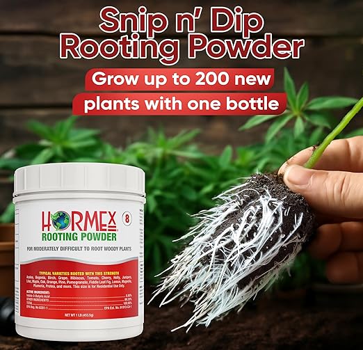 Hormex Rooting Powder #8 (0.80 IBA) - Fast-Acting Rooting Hormone for Semi-Hardwood Houseplants & Tree Cuttings - Root Stimulator for Plant Cloning - Strong Growth for Maximum Propagation Success, 1LB
