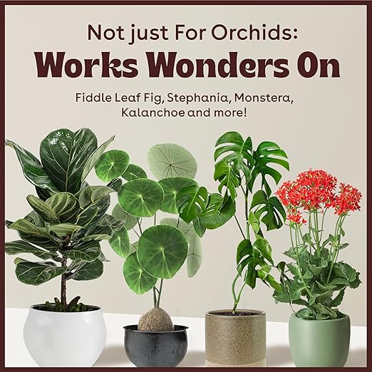 Keiki Paste for Plants to Clone & Create New Growth - 2X The Paste - Rapid Start Cloning Gel for House Plants - Keiki Cloning Paste for Plants- Nutrient Rich Plant Growth Gel - 0.5oz