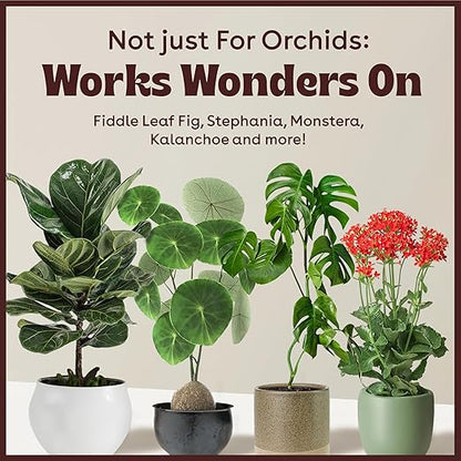 Keiki Paste for Plants to Clone & Create New Growth - 2X The Paste - Rapid Start Cloning Gel for House Plants - Keiki Cloning Paste for Plants- Nutrient Rich Plant Growth Gel - 0.5oz