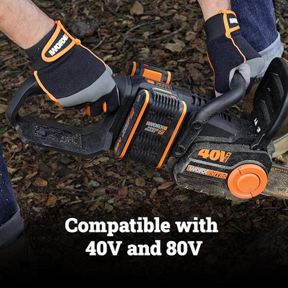 20V 4.0 Ah PowerShare ProPlus Battery WA3676