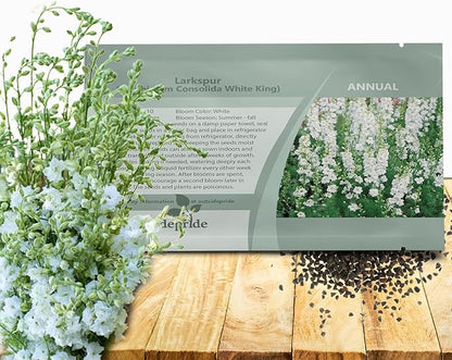 Outsidepride Delphinium White Larkspur Seeds for Planting Outdoors - 2000 Pcs Annual, Self-Seeding, Heat & Drought Tolerant Wildflower Seed, Colorful Blooms for Flower Arrangement & Pollinator Garden