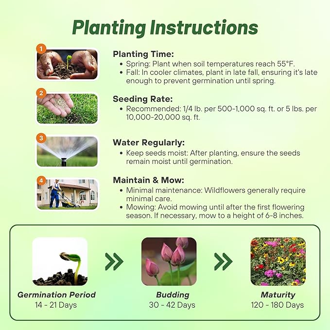 Outsidepride Southeast Wildflower Seed Mix - 1/4 lb Highly Adaptable, Easy to Grow, Low-Maintenance Mix of Annual & Perennial Wildflower Seeds for Natural Landscapes in Southeastern States