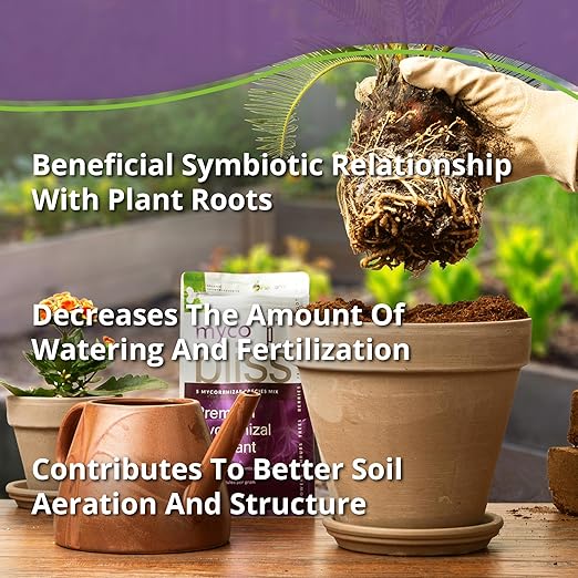 Myco Bliss Granular (1lb) - Mycorrhizal Fungi for Plants - 5 Strain Mycorrhizal Inoculant with 1000 Propagules Per Gram - Highly Concentrated Mycorrhizae for Plants, Potting Soil, & Garden Soil