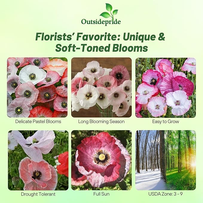Outsidepride Mother of Pearl Poppy Seeds for Planting - 500 Pcs Annual, Drought-Tolerant & Easy to Grow Wildflower Seeds with Vibrant Mix Blooms for Landscaping, & Pollinator Garden