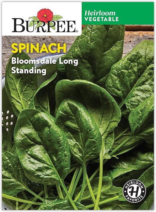 Burpee Bloomsdale Long Standing Spinach Seeds - Heirloom, Slow-Bolting
