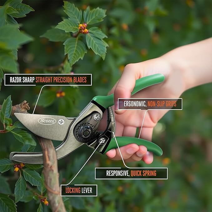 Scotts 2-Piece Pruning Tool Set – Includes 8 in. Bypass Pruning Shears for Live Plants and Soft Stems, and 7.5 in. Folding Saw for Cutting Thick Branches
