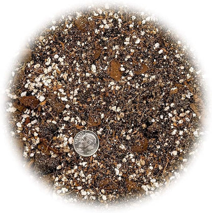 Premium Bromeliad Potting Soil by Gardenera - Unlock The Full Potential of Your Bromeliads - 5 QUARTS