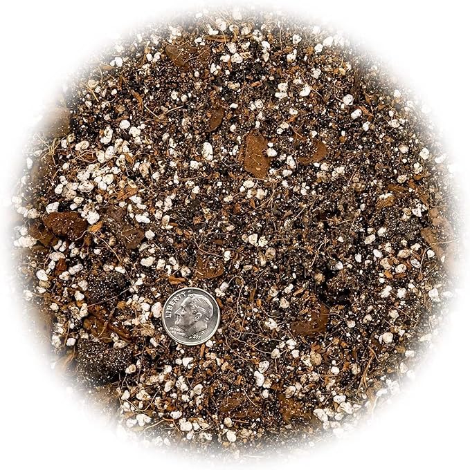 GARDENERA Banana Tree Potting Soil - Professional Grade Mix for Growing Delicious Bananas - Enhanced with Essential Nutrients for Bountiful Harvests (3 Quart)