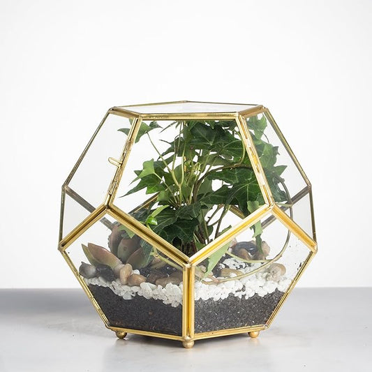 NCYP 6.89 x 6.89 x 5.9 inches Glass Geometric Terrarium Planter with Door and Foot, Pentagon Ball Shape Close Flower Pot for Fern Succulents Plants, Small, Gold (No Plants)