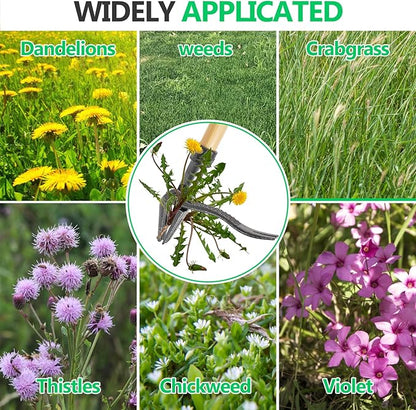 BellaJoyz Weed Puller, Stand Up Weed Puller Tool with Long Handle & 4-Claw Steel Head, 3-Sectioal Pole Design, Garden Hand Weeding Tool - Easily Remove Weeds Without Bending, Pulling,or Kneeling