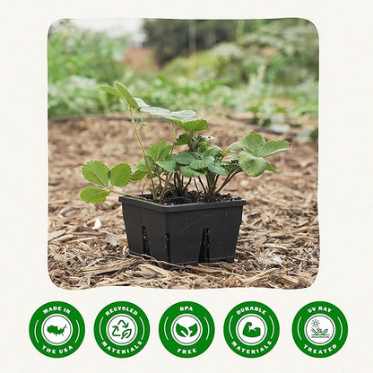 Epic Gardening Reusable Seed Starter Tray - 4 Cell 3"/32 Seedling Starter Trays - Easy Watering, Indoor Greenhouse, Plant Starter, Gardener-Friendly for Seedlings | UV-Treated & BPA-Free - Black