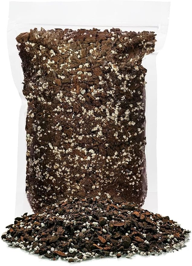 Gardenera Premium Cat Grass Potting Mix - Provide Your Feline Friend with a Natural and Nutritious Snack - 1 Quart