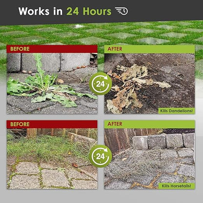 ECO Garden PRO - Organic Vinegar Weed Killer | Kid/Pet Safe | Clover Moss, Green Grass & Poison Ivy Killer for Lawns | Spray Ready Glyphosate Free Herbicide (1 Gallon)