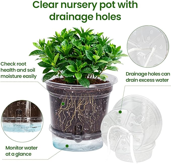 MIXC 12 Packs 6.5 Inch Self Watering Pots for Indoor Plants - Clear Nursery Plant Pots with Drainage, Deep Visible Reservoir - Flower Planter Outdoor with Wicking Rope