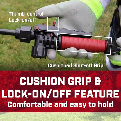 Chapin International 63924 4-Gallon 24V Extended Spray Battery Backpack Sprayer, with Adjustable Brass Nozzle, 1-Pack, Translucent White