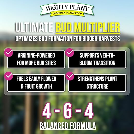 Flowering Bloom Booster Plant Enhancer – Arginine-Powered Growth Formula for Explosive Bloom & Fruit Set | Prime2Bud Ideal for Garden Flowers & Fruit-Bearing Vegetables (5, Ounces)