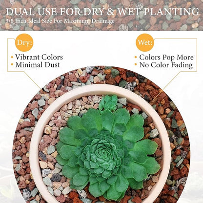 2.5LB Lava Rocks for Plants-3/8 Volcanic Rock for Succulent Potting Mix, Cactus, Orchids & Bonsai-Porous Horticultural Grit for Drainage, Aeration & pH Balance - Decorative Top Dressing