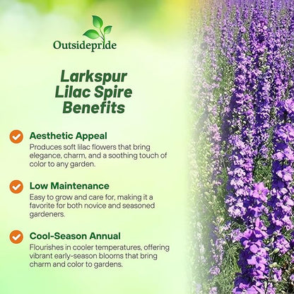 Outsidepride Delphinium Lilac Larkspur Seeds for Planting Outdoors - 2000 Pcs Annual, Self-Seeding, Heat & Drought Tolerant Wildflower Seed, Colorful Blooms for Flower Arrangement & Pollinator Garden