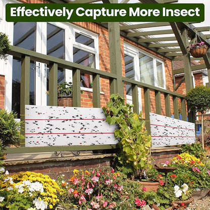 Qualirey Giant Sticky Fly Traps,30 Feet Fly Strips for Indoor Outdoor Hanging Flying Tapes Non Toxic Ribbon Fruit Gnat Killer for Mosquito Plants House Horse Stable (White,10 Pcs)