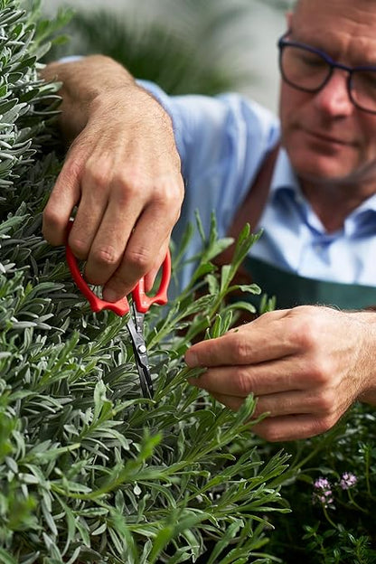 Felco 420 Trimming Scissors – 6.1" Garden Clippers with Fine Tip & Non-Stick Blade | Pruning Shears for Gardening | Garden Scissors for Plant with Stainless Steel Blade, Built-In Ruler