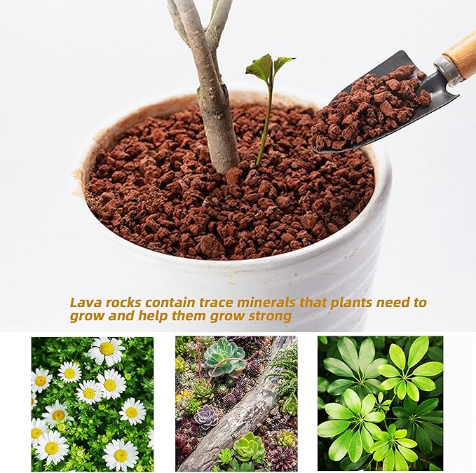 Natural Lava Rocks Granules Decorative Landscaping for Bonsai, Cacti, Succulents Plants, Vase Fillers and Terrarium Plants, 5Lbs