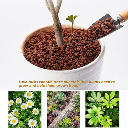 Natural Lava Rocks Granules Decorative Landscaping for Bonsai, Cacti, Succulents Plants, Vase Fillers and Terrarium Plants, 5Lbs
