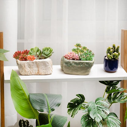 T4U 5.5 Inch Ceramic Succulent Pot Planter with Drainage Hole Set of 3, Stone Shape Rectangle Window Box Cactus Plant Containers Gift for Mom Sister Aunt Best for Home Office Table Desk Decoration