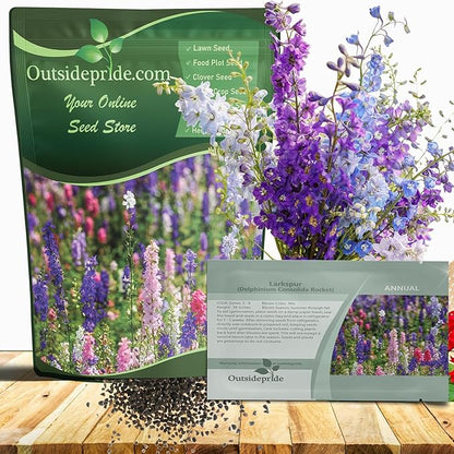 Outsidepride Mixed Rocket Larkspur Seeds for Planting Outdoors - 1/4 Lb. Annual, Self-Seeding, Heat & Drought Tolerant Wildflower Seeds for Cut Flower Arrangements & Pollinator Gardens