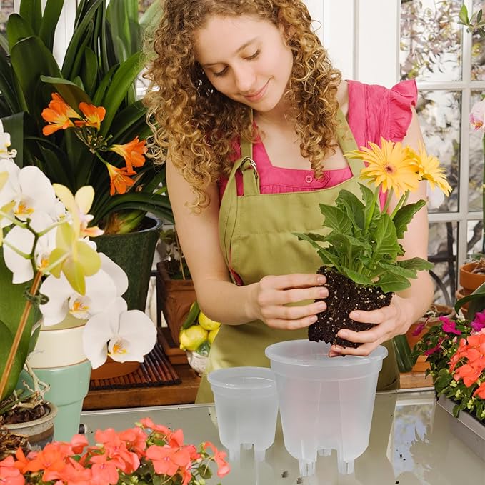 Cdd's Path 6-Pack Self Watering Pots Set with Holes for Indoor/Outdoor Plants,2 Each of 5, 6 and 7 Inch Planter Pot with Watering Hole/Reservoir and Air Pipes,Clear