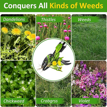 Weed Puller Tool, Stand Up Weed Remover Tool with Long Handle, 4 Claw Steel Head Weeder Tool with 4-Sectioal Pole Design, Garden Hand Weeding Tool, Smoothly Remove Weeds Without Kneeling