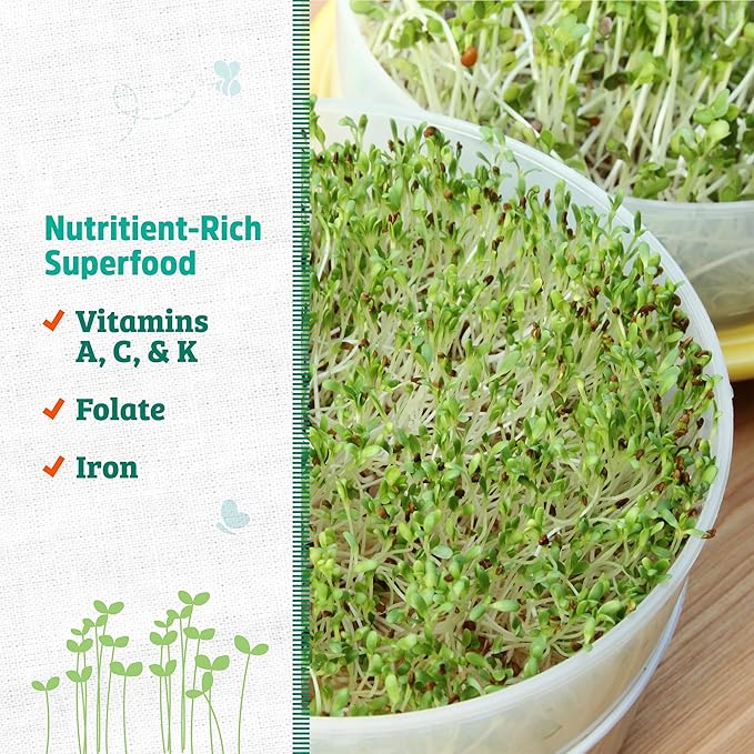 Back to The Roots 100% Organic Alfalfa Seeds | 1 Pound Non-GMO | Nutrient Dense, Easy to Grow, Rich in Fiber