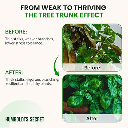 Humboldts Secret Tree Trunk | Potassium Silicate Additive | Liquid Fertilizer for Thicker Stalks, Stress Resistance & Branch Development | Indoor & Outdoor Plant Food, Hydroponic Nutrients, 1 Gallon