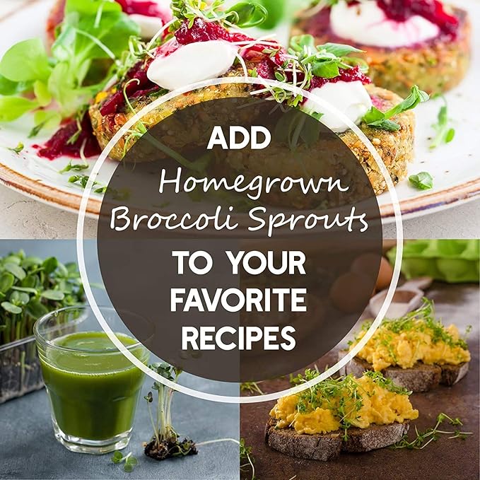 Organic Sprouting Seed Mix – 2.5 lb – 10 Varieties: Alfalfa, Mung Bean, Broccoli, Lentil, Clover, Buckwheat, Radish, Bean Salad, More